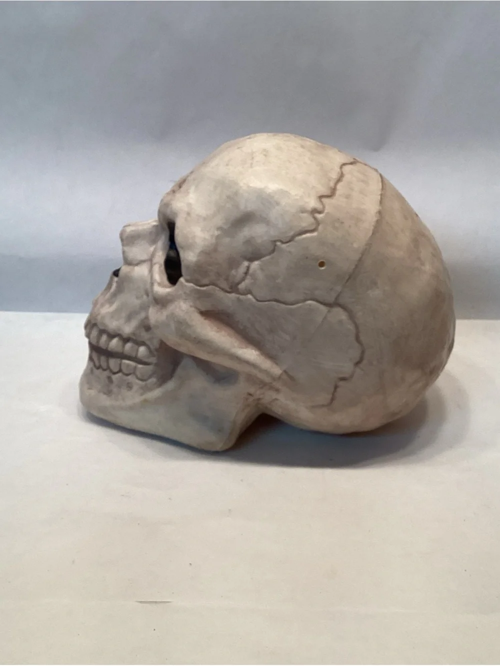 Realistic Skull Blow Mold Halloween Decor Scary Skeleton Creepy Decoration